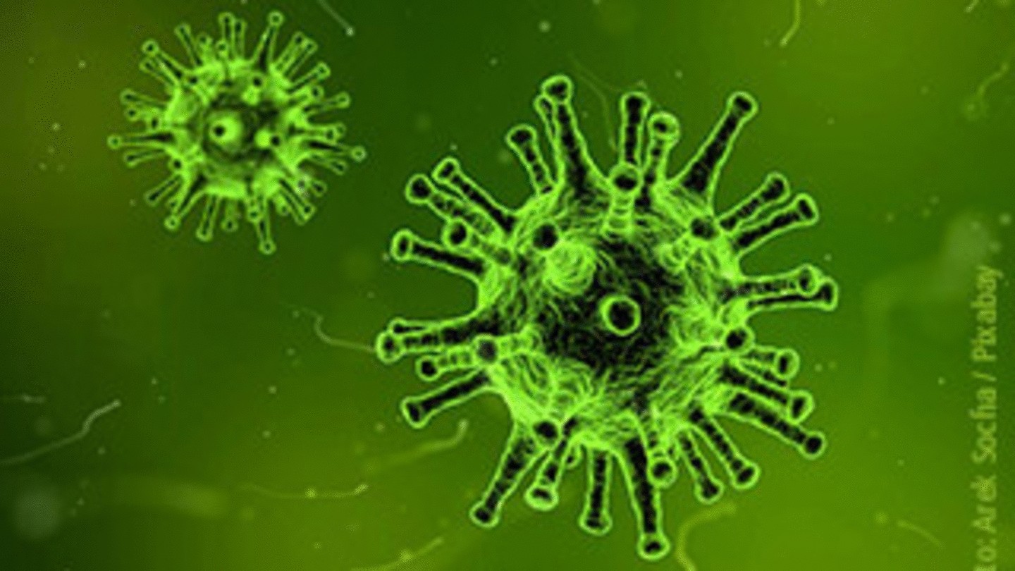 Information about the Coronavirus (SARS-CoV-2)